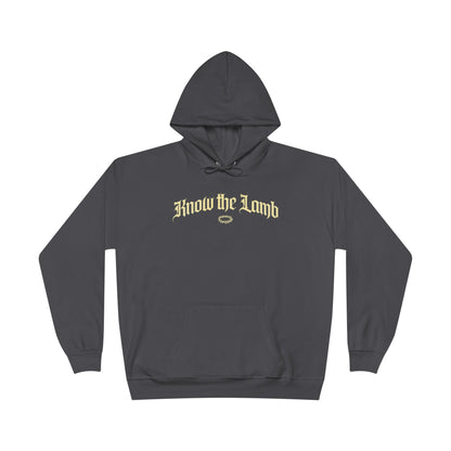 “Jesus Wept” Graphic Hoodie